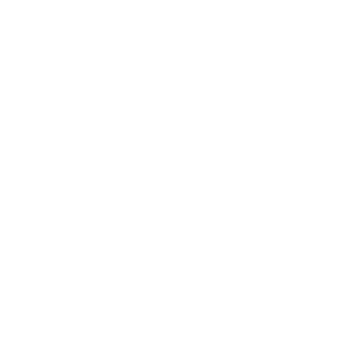 Exoroo Logo
